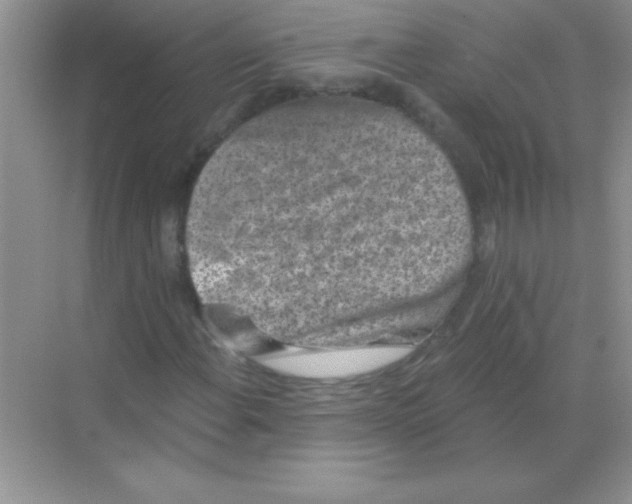 X0000068721108200605192246