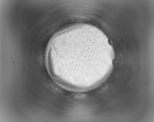 X0000068721109200605192246