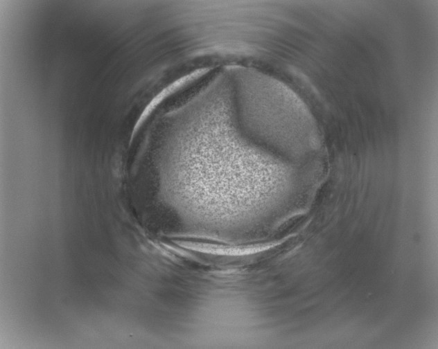 X0000068721110200605192246