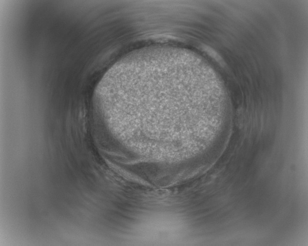 X0000068721111200605192246