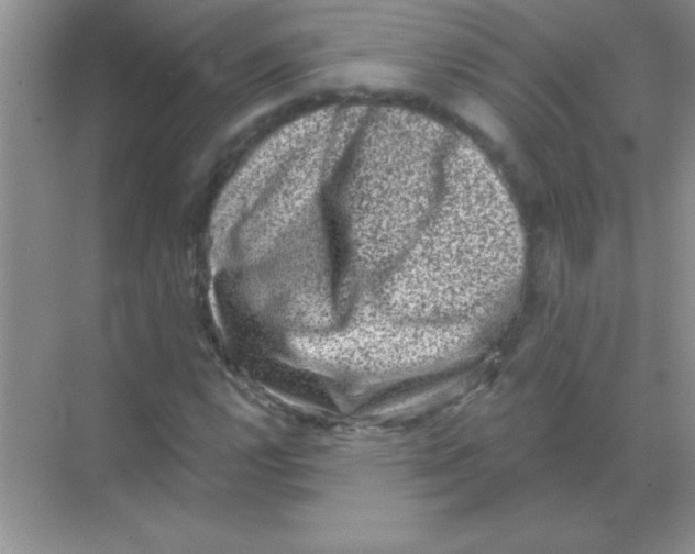 X0000068721112200605192246