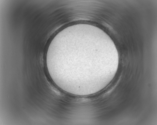 X0000068721113200605192246