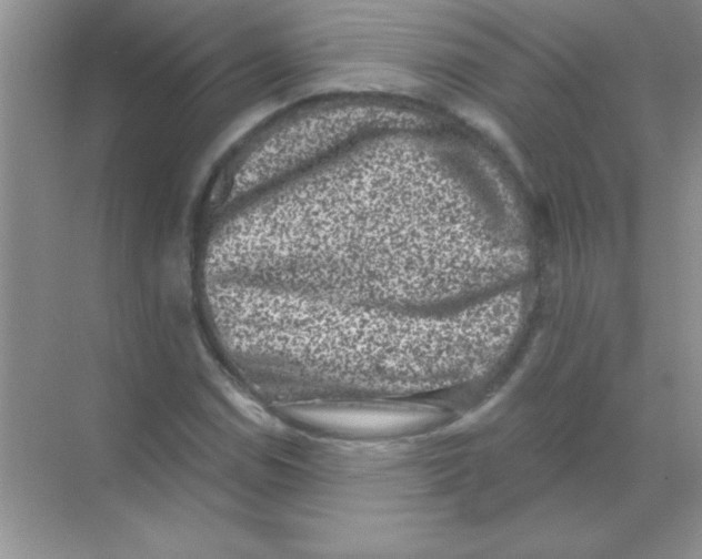 X0000068721114200605192246