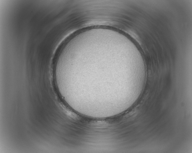 X0000068721119200605192246