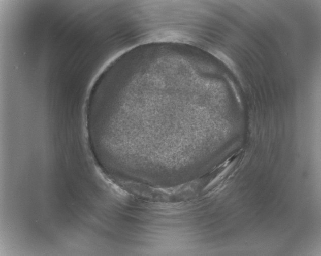 X0000068721120200605192246