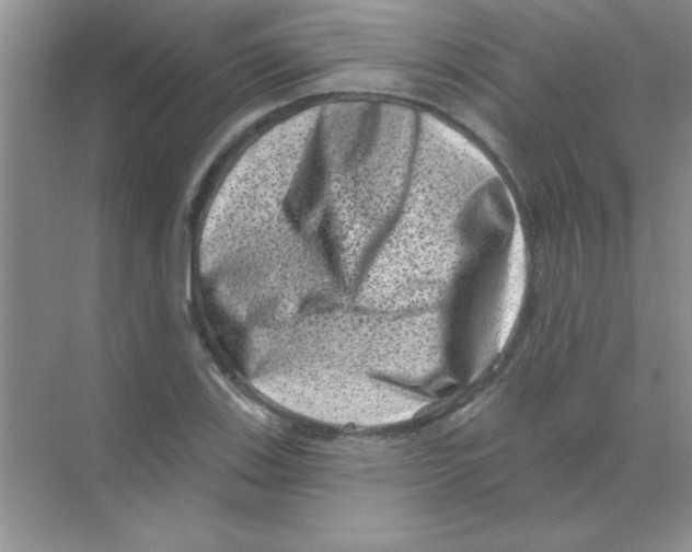 X0000068721123200605192246