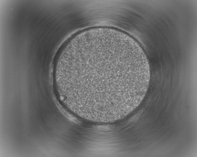 X0000068721126200605192246