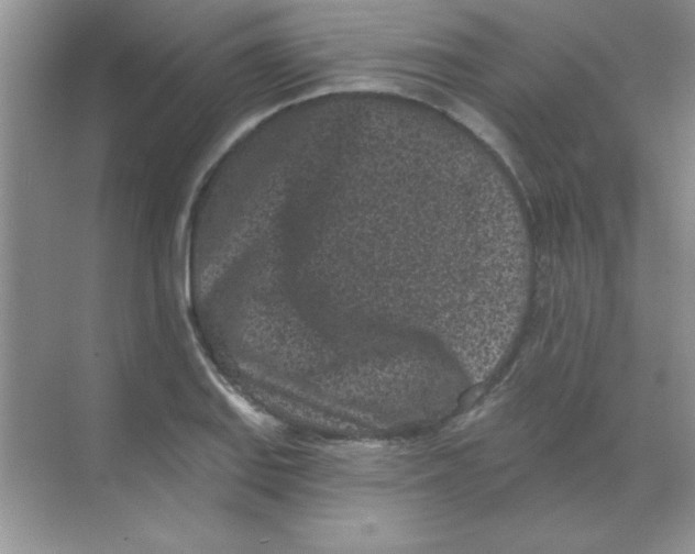 X0000068721127200605192246