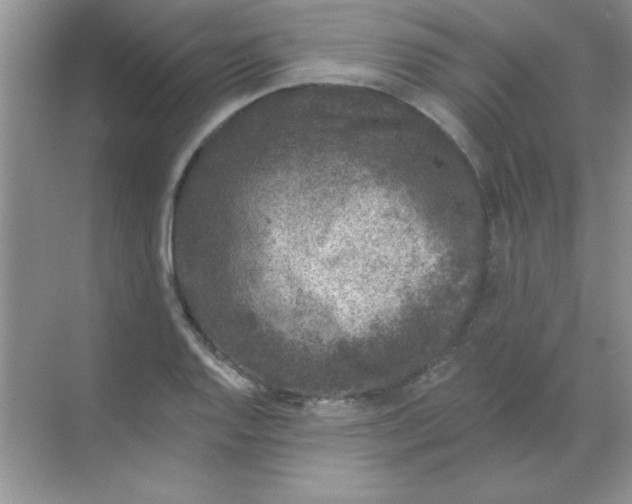 X0000068721128200605192246