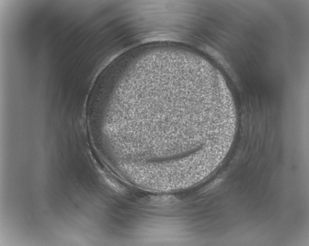 X0000068721129200605192246