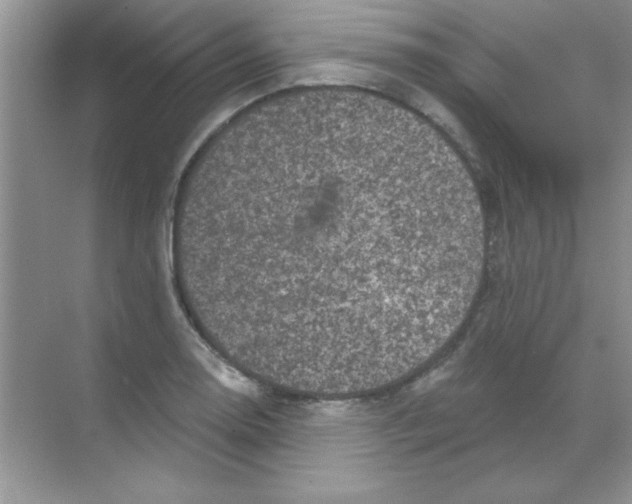 X0000068721130200605192246