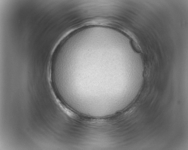 X0000068721131200605192246