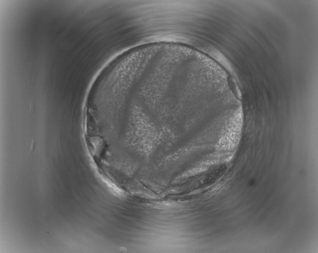 X0000068721132200605192246