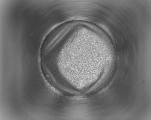 X0000068721133200605192246