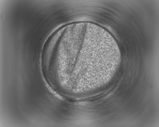 X0000068721134200605192246