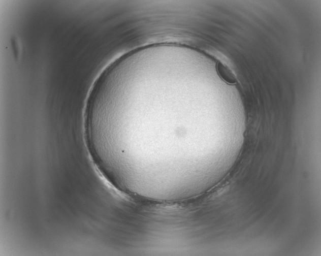 X0000068721135200605192246