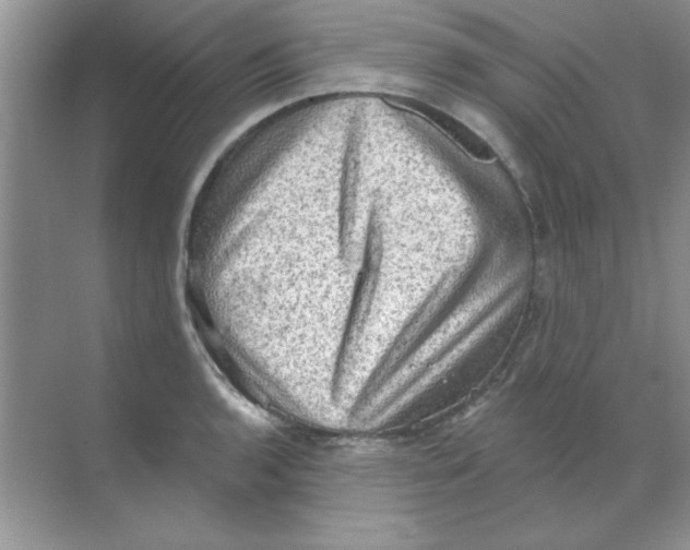 X0000068721136200605192246