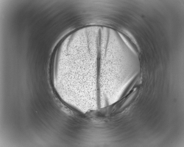 X0000068721138200605192246