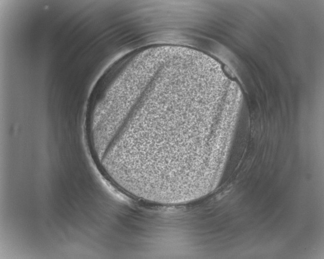 X0000068721139200605192246