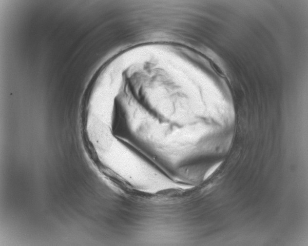 X0000068721142200605192246