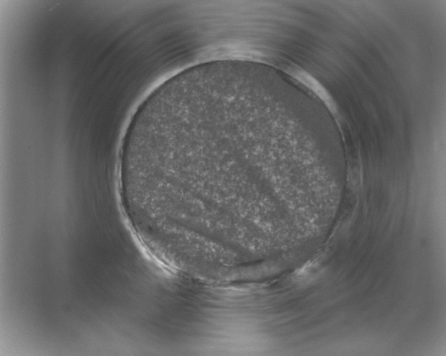 X0000068721144200605192246