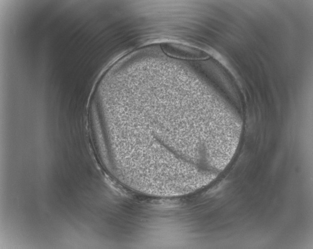 X0000068721145200605192246