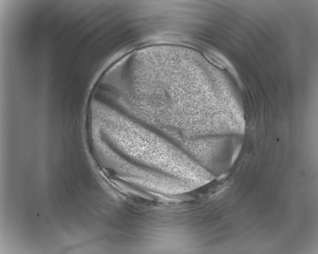 X0000068721146200605192246