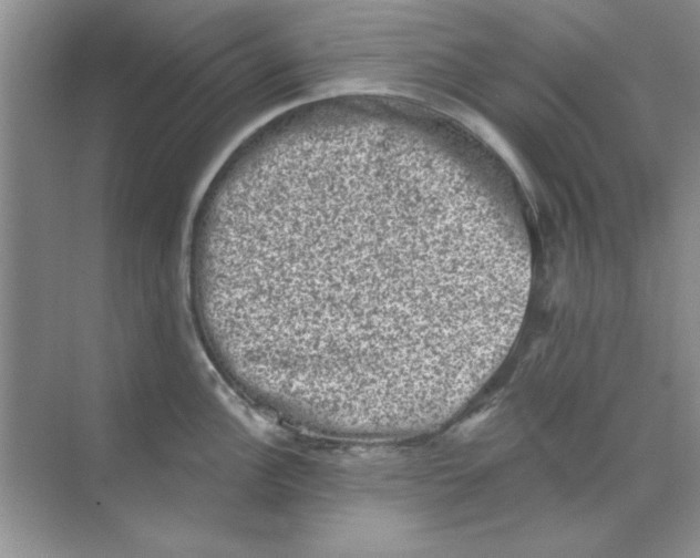 X0000068721148200605192247