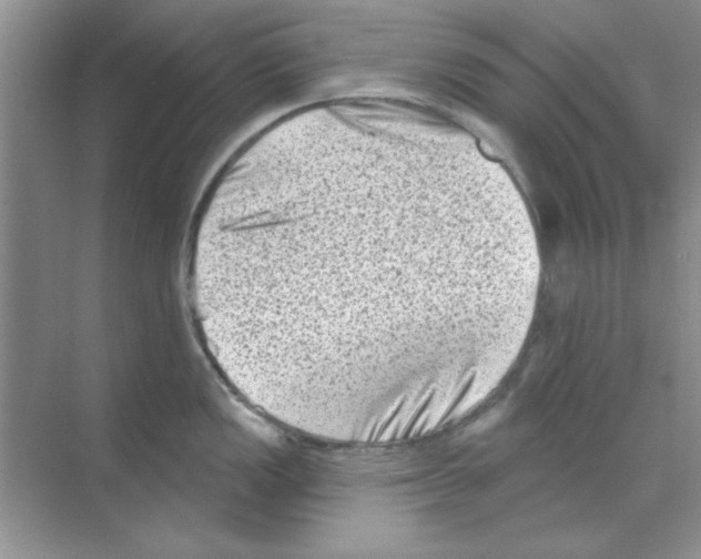 X0000068721149200605192247