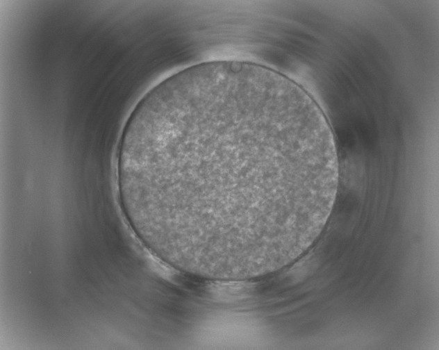 X0000068721150200605192247