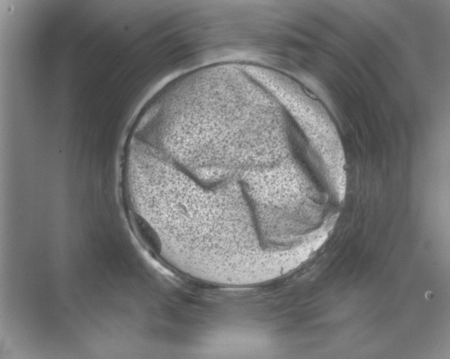 X0000068721151200605192247