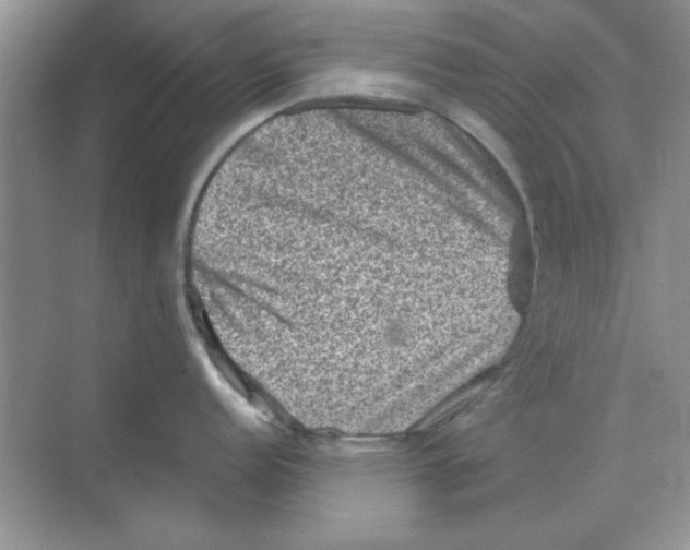 X0000068721152200605192247