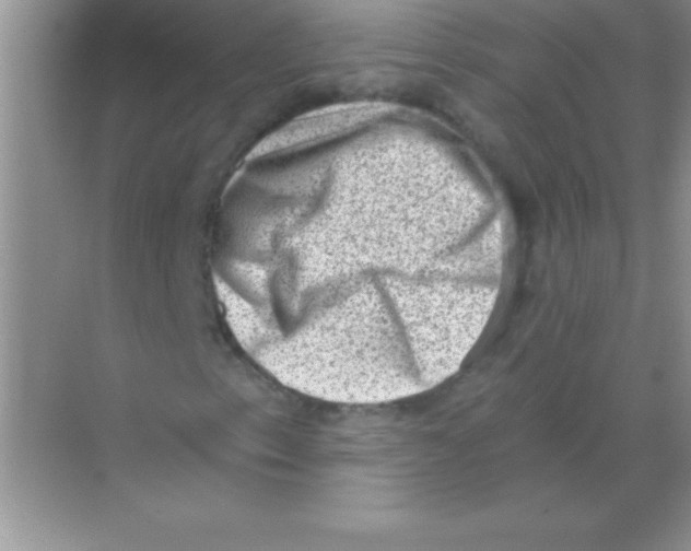 X0000068721153200605192246