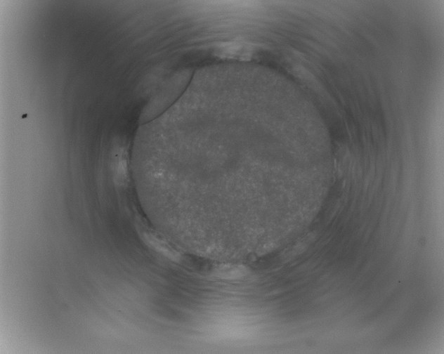 X0000068721154200605192246