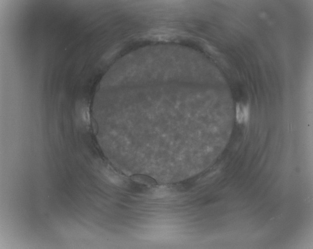 X0000068721155200605192246