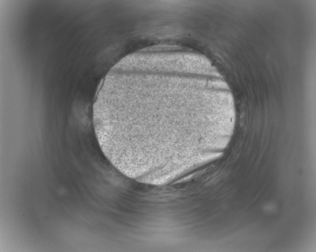 X0000068721156200605192246