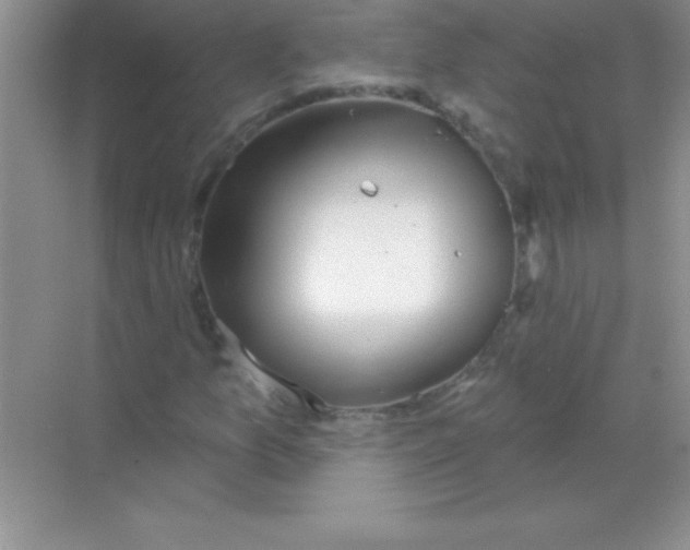 X0000068721157200605192246