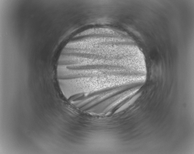 X0000068721160200605192246