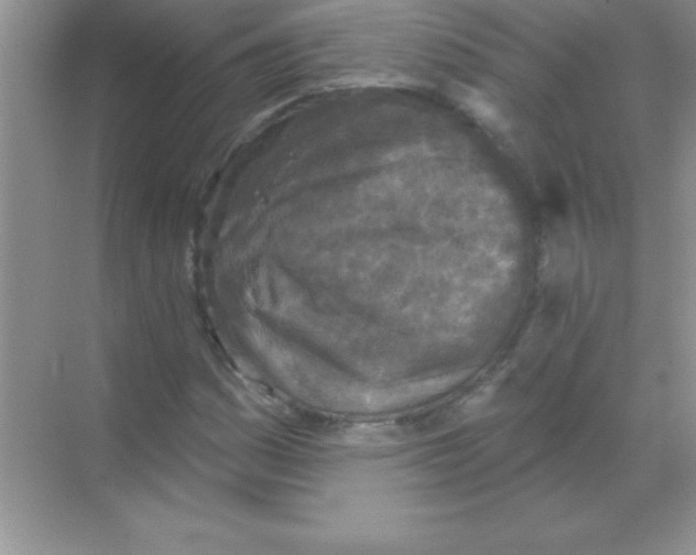 X0000068721161200605192246