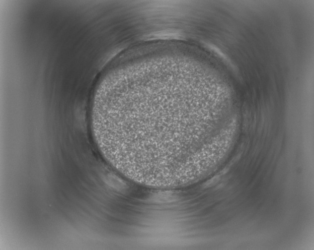 X0000068721162200605192246