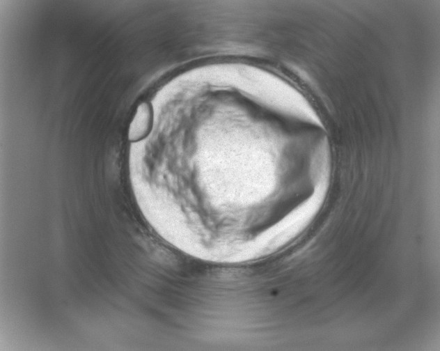 X0000068721163200605192246