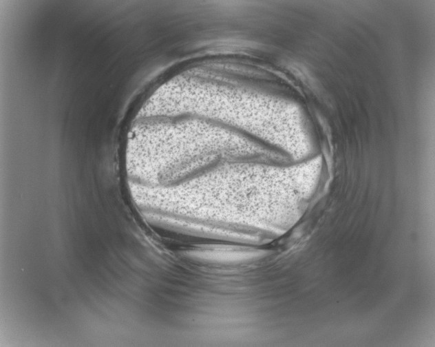 X0000068721164200605192246