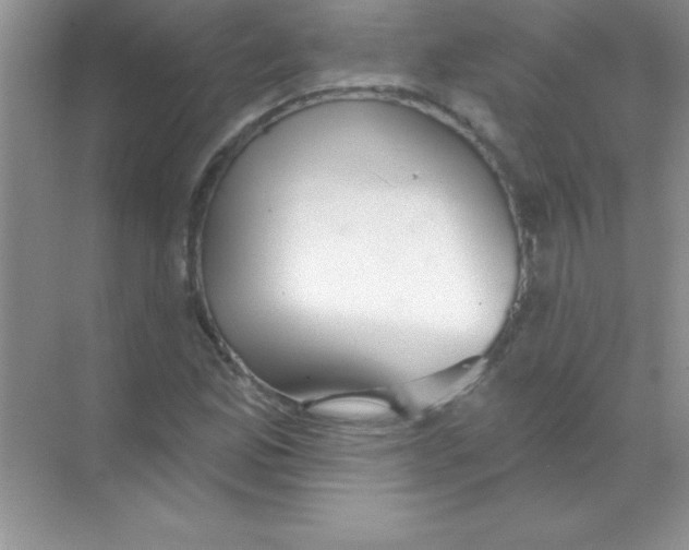 X0000068721165200605192246