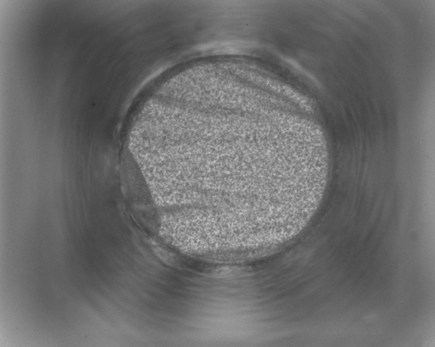 X0000068721166200605192246