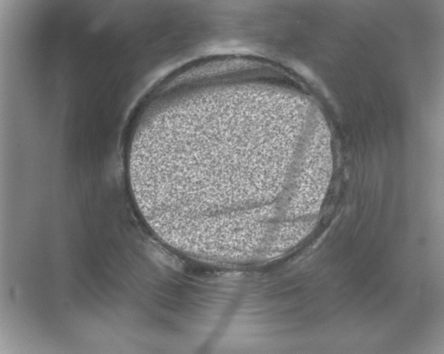 X0000068721167200605192246