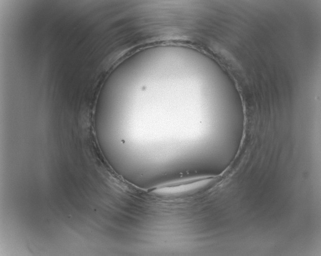 X0000068721169200605192246