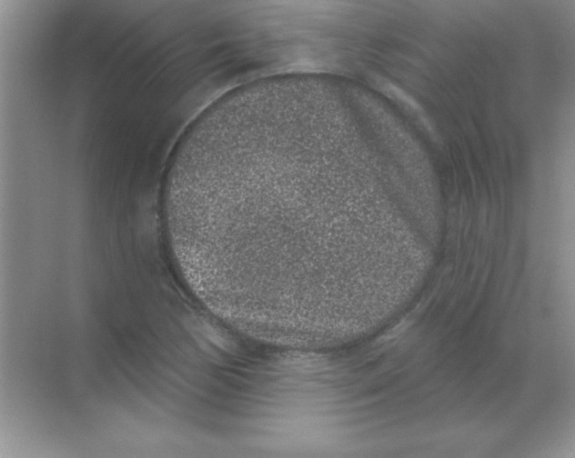 X0000068721170200605192245