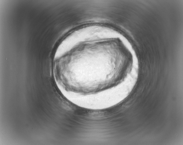 X0000068721171200605192245