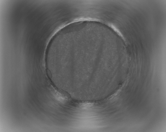 X0000068721173200605192245