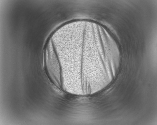 X0000068721175200605192245